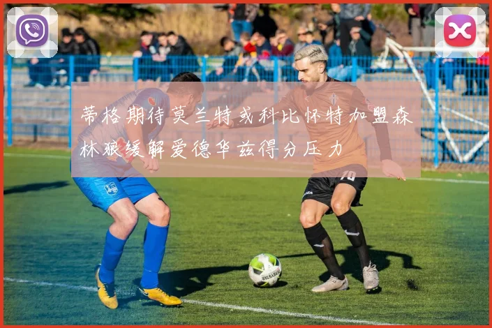 蒂格期待莫兰特或科比怀特加盟森林狼缓解爱德华兹得分压力