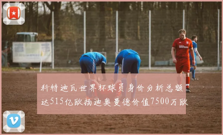科特迪瓦世界杯球员身价分析总额达515亿欧扬迪奥曼德价值7500万欧